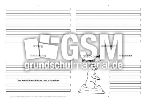 Murmeltier-Faltbuch-vierseitig.pdf